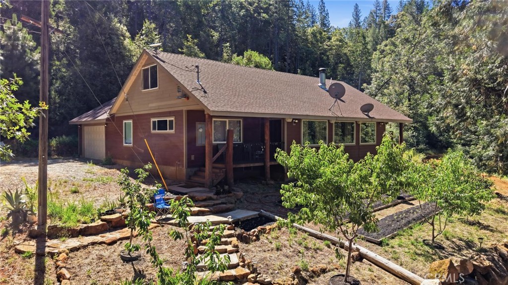 40 White Fir