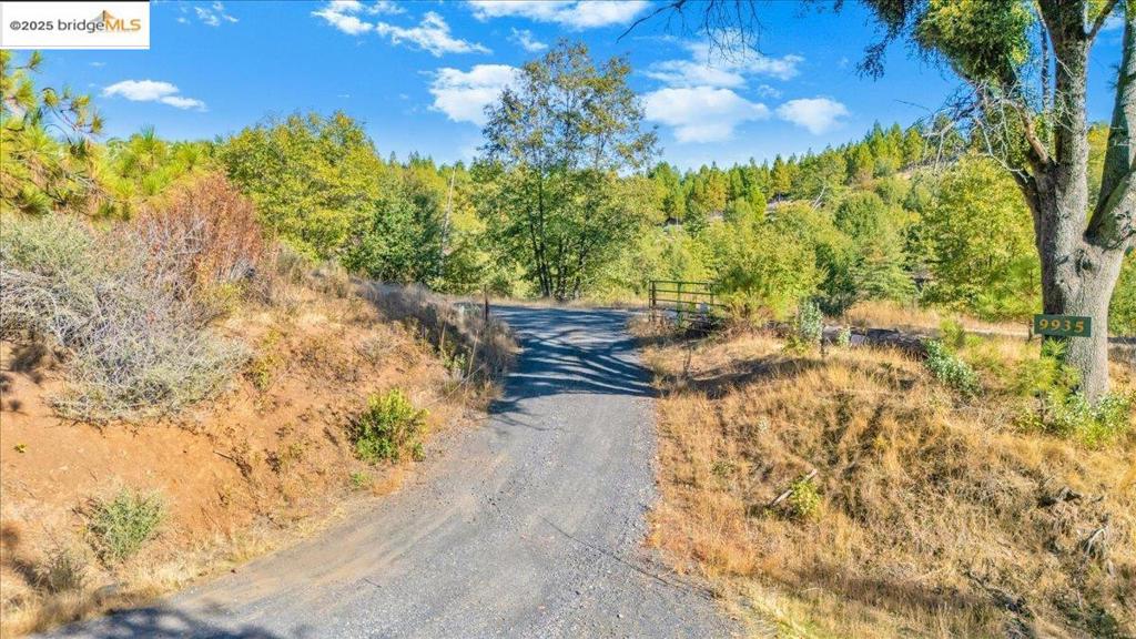 0000 Jackass Creek Rd