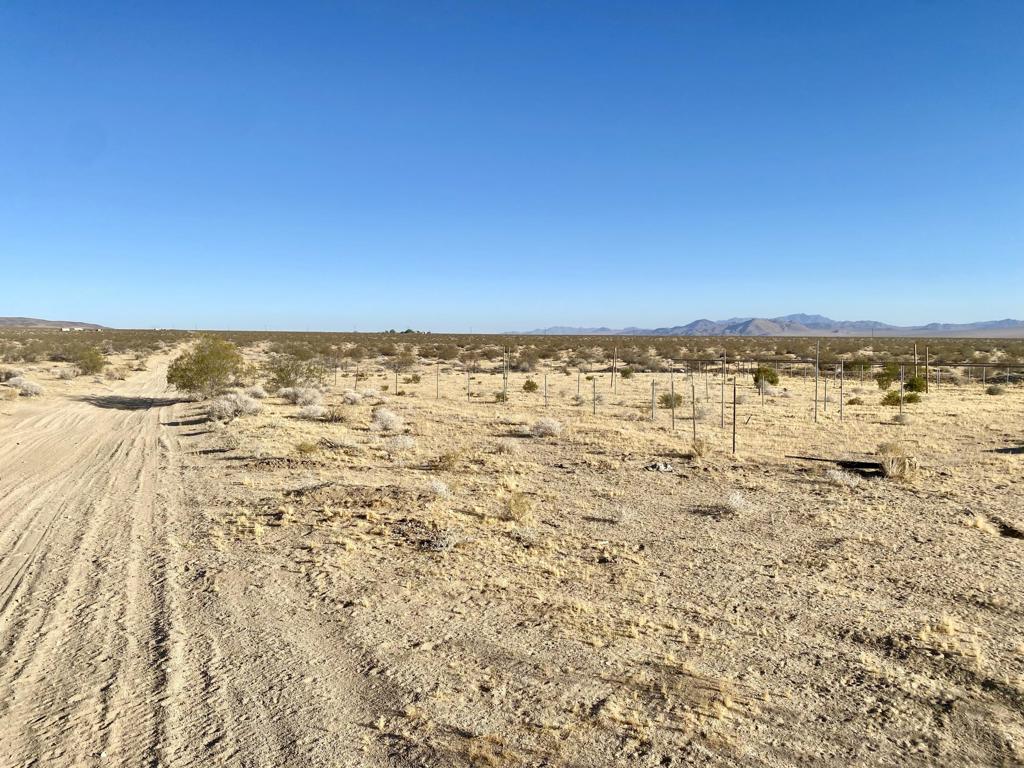 104 Joshua Tree Road