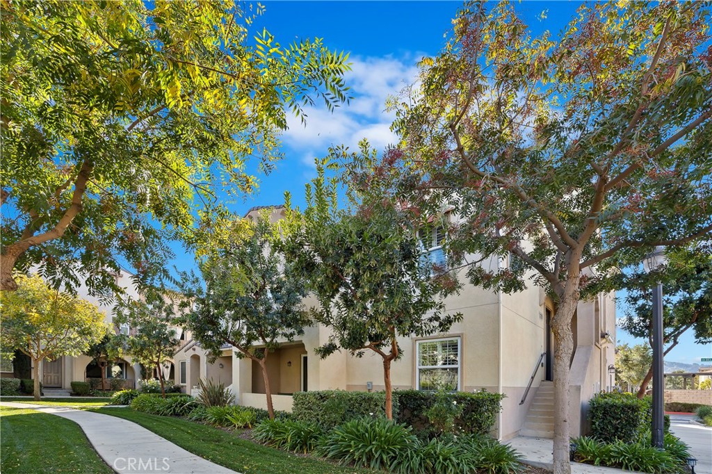 31205 Strawberry Tree