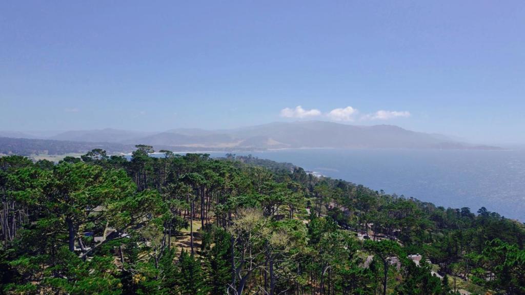 1246 Portola Road