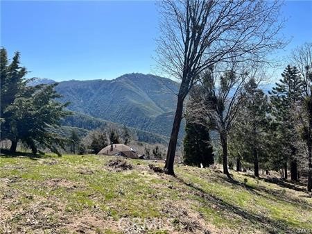 41 Fredalba Road