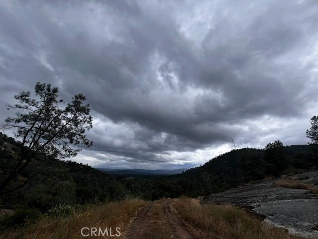 3631 Guadalupe Creek