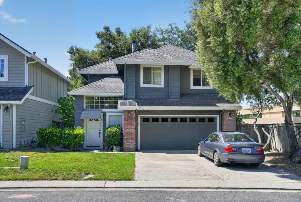 37 Silver Birch