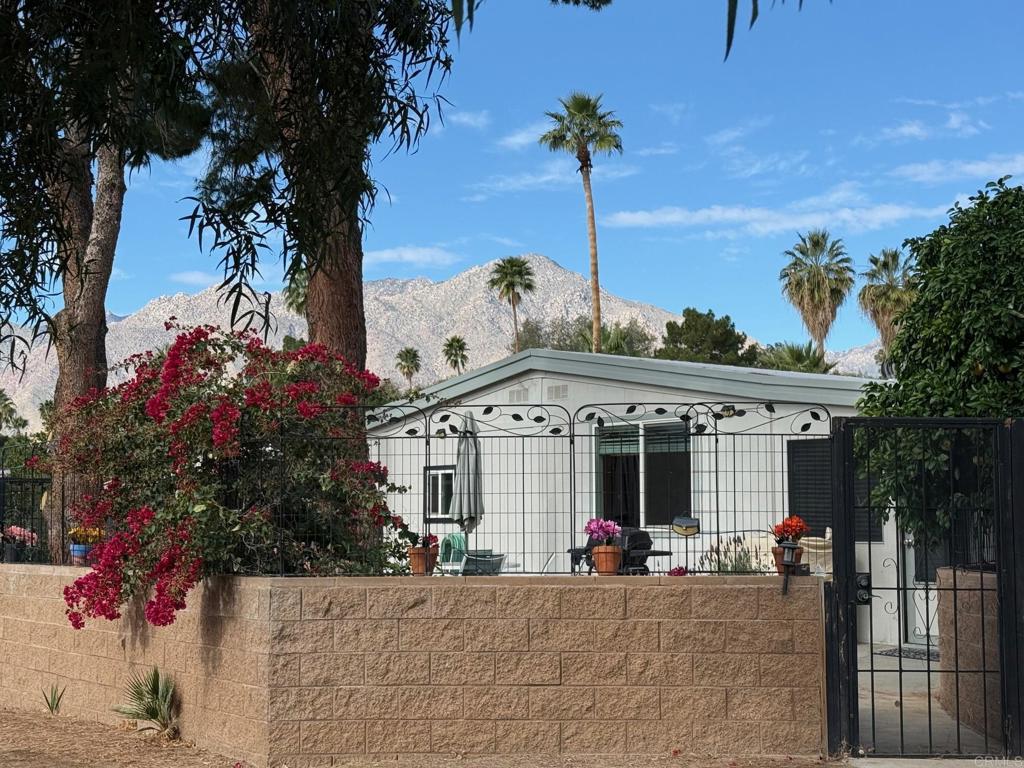1010 Palm Canyon Drive 324