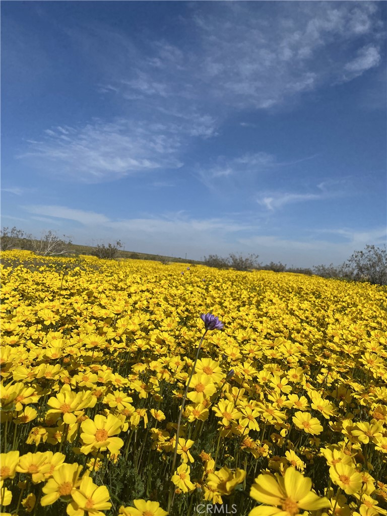 0 Vacant Land