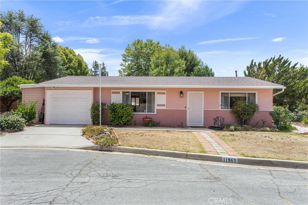 11965 Peach Tree