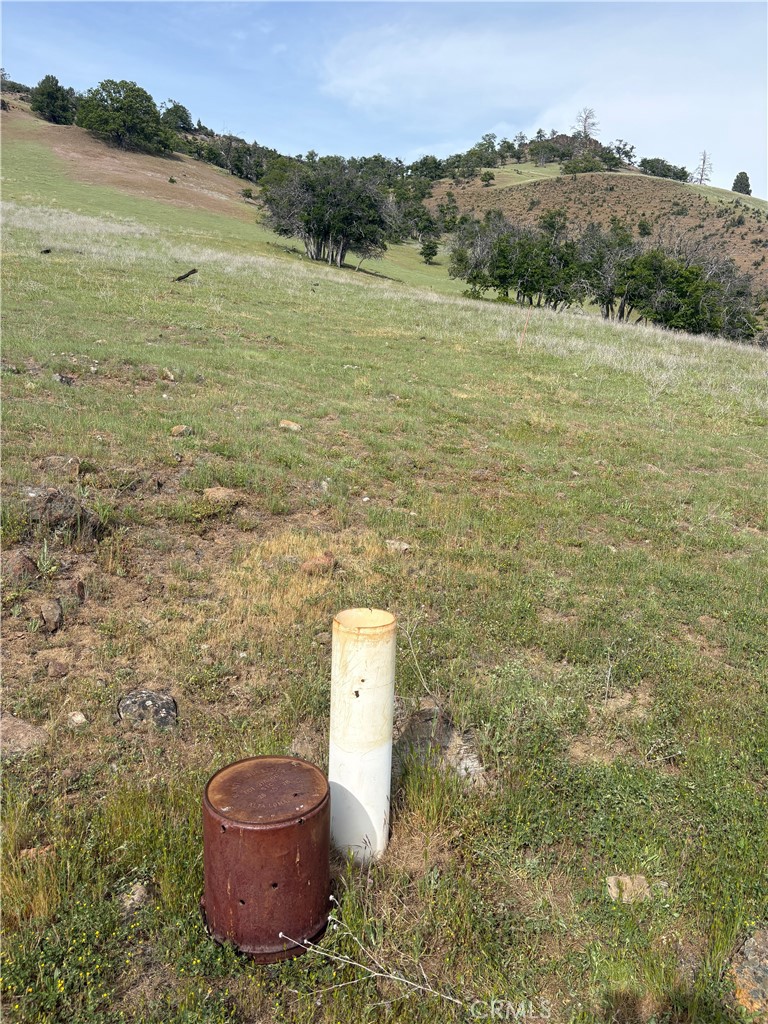 0 Yellow Dog Trail