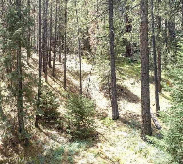 1316 Zermatt Court
