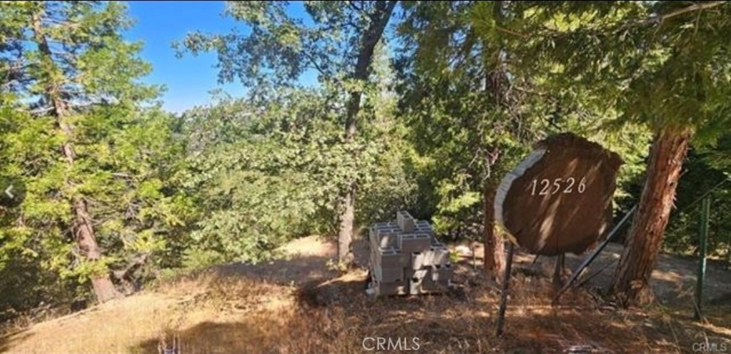 25126 Jewel Drive