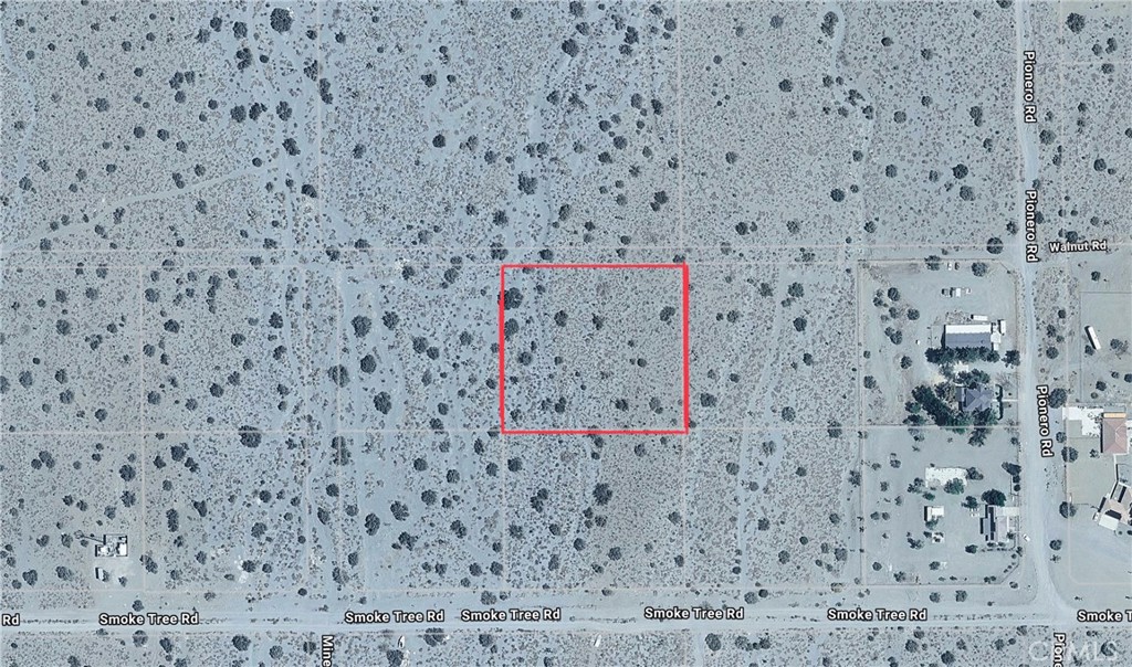 0 Coyote