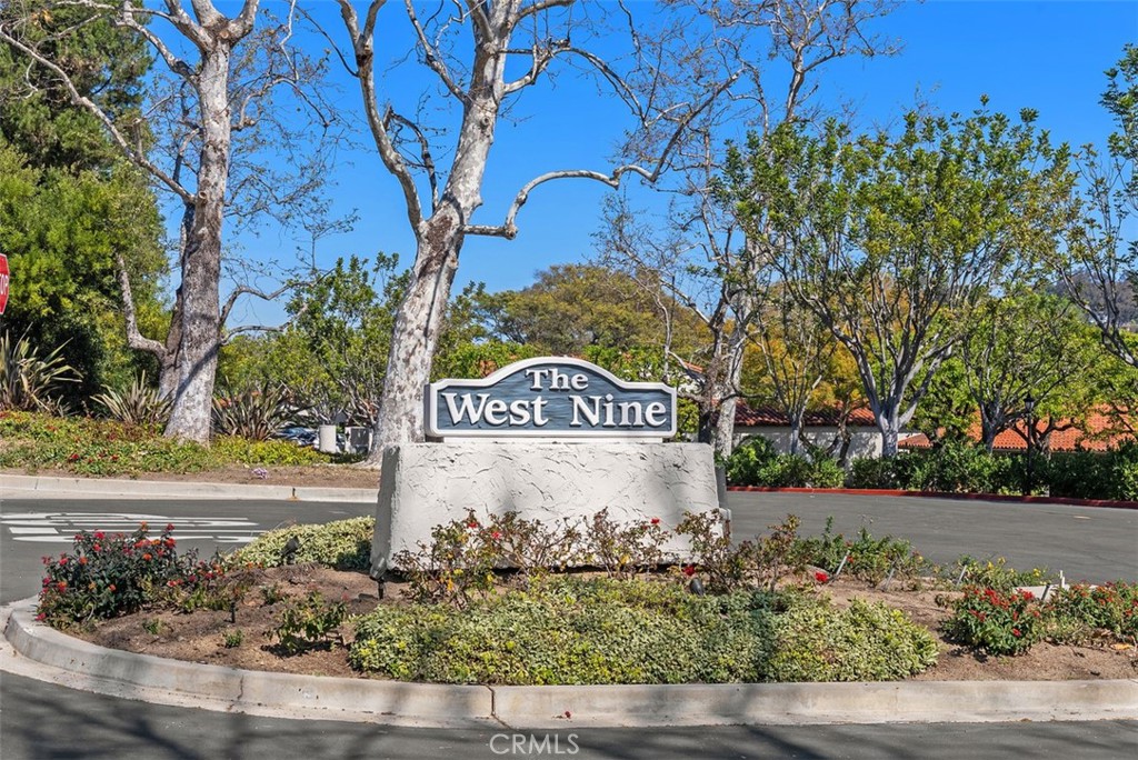 31508 W Nine