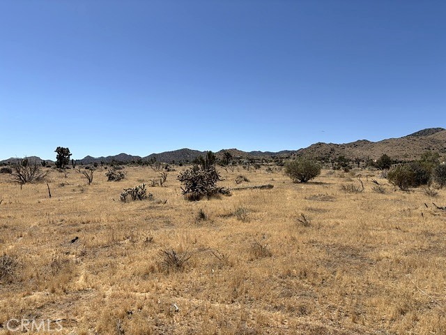 58225 San Andreas Road