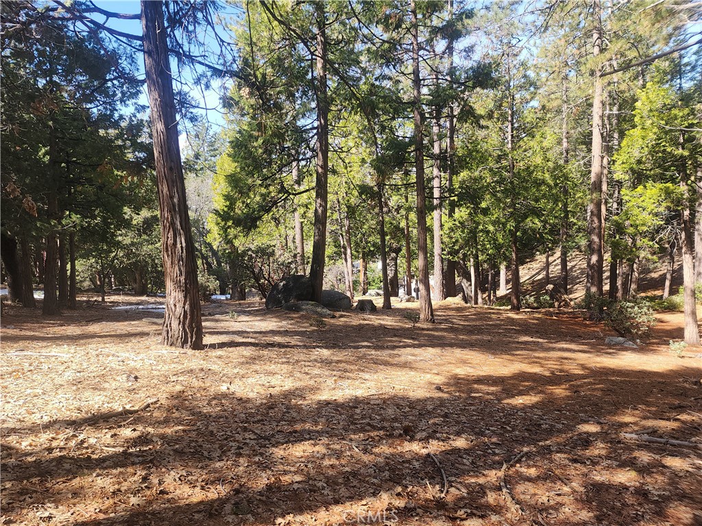 52547 Pine Cove
