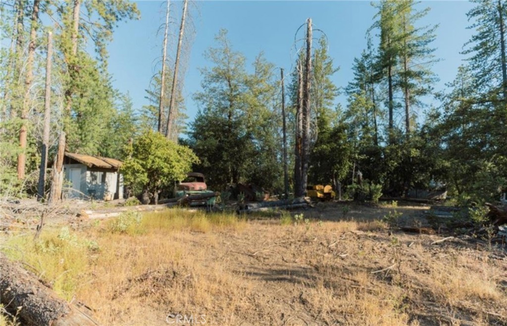10902 Stout Lane