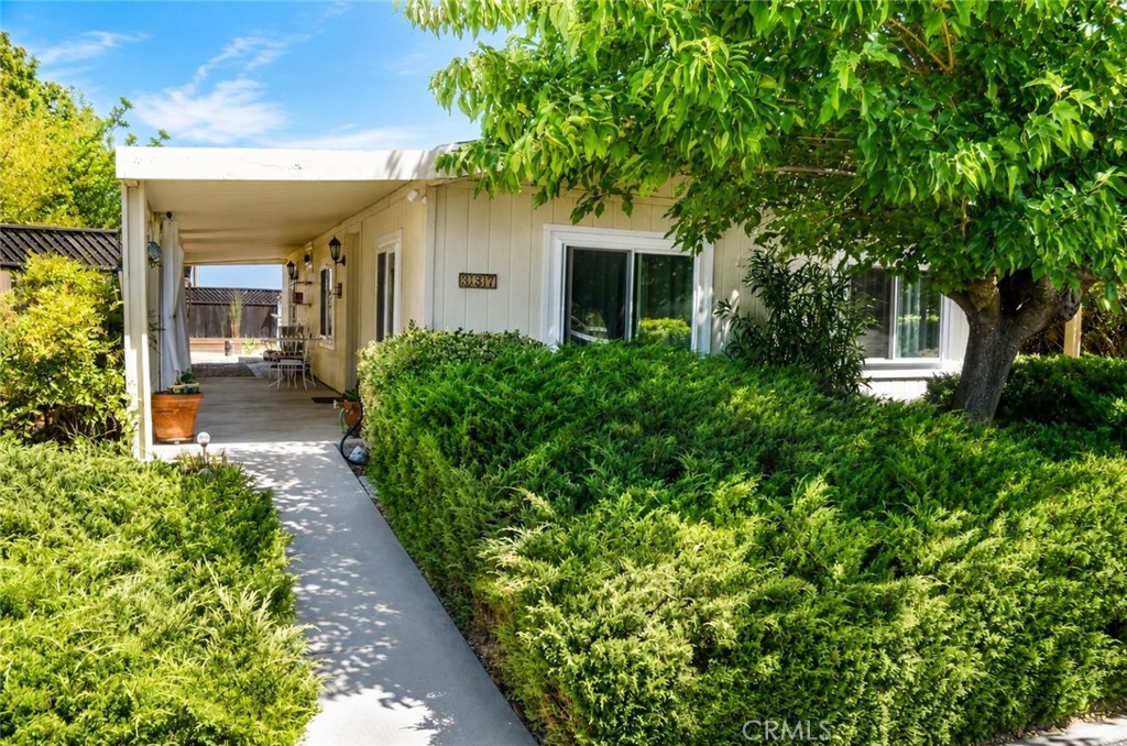 337 Lark Drive