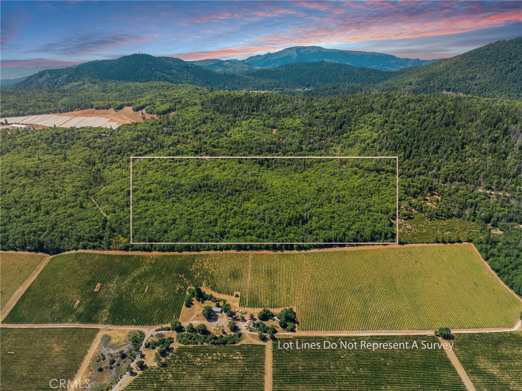 9600 Seigler Springs North Road