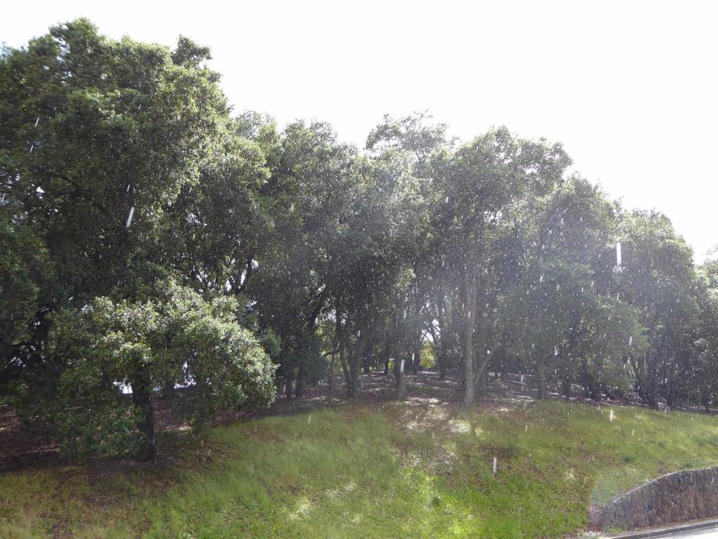 1920 Mantelli Drive