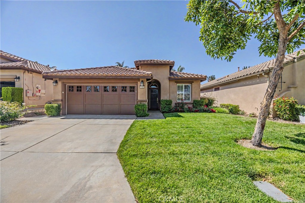 9128 Deergrass Street