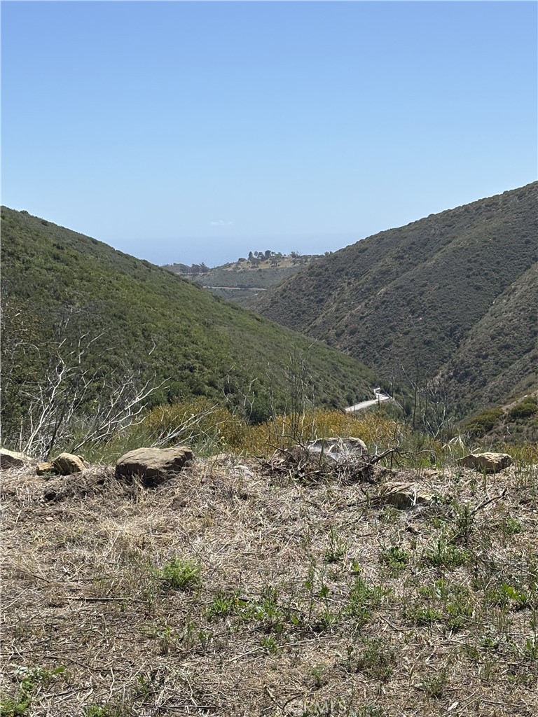 12110 Yellow Hill