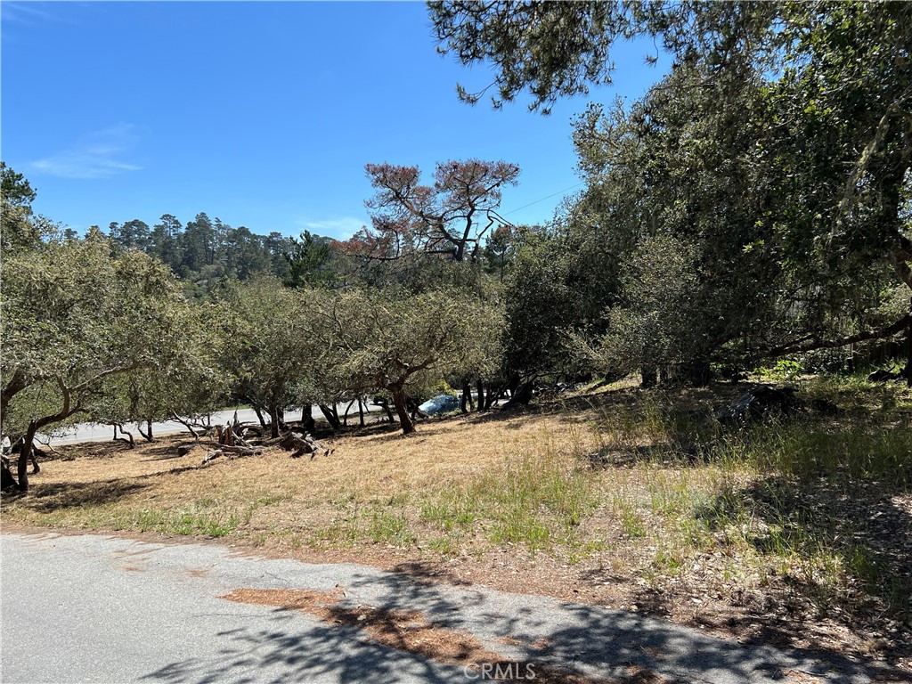 0 Pierce Avenue