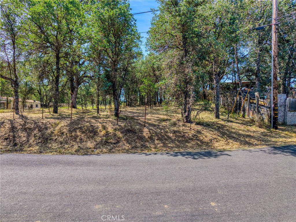 16793 Big Bear