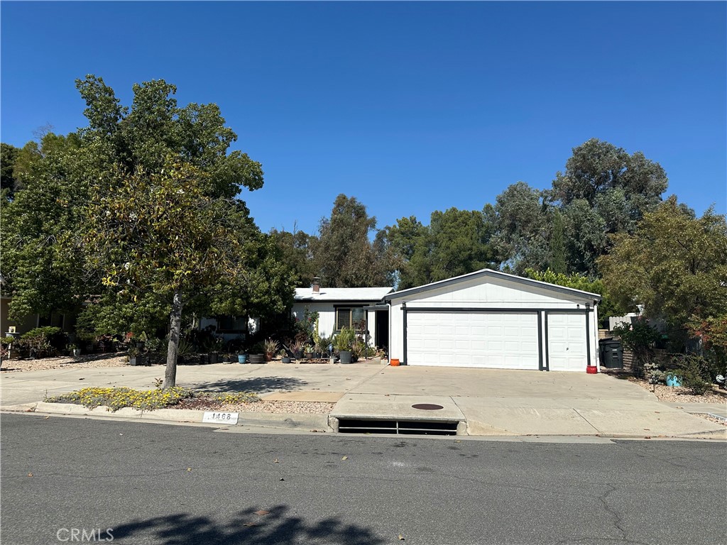 1468 Willow Leaf