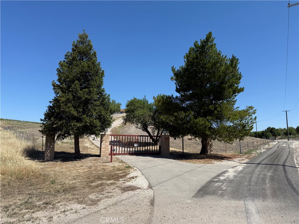 1640 Valley Quail