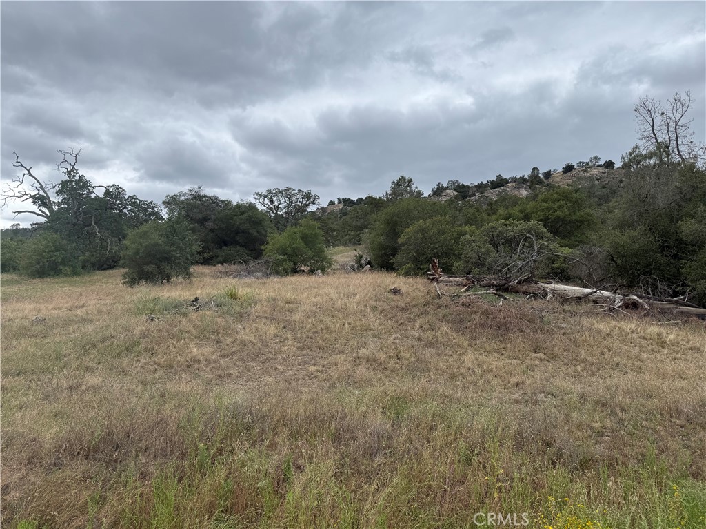 2112 Lot # North Dome