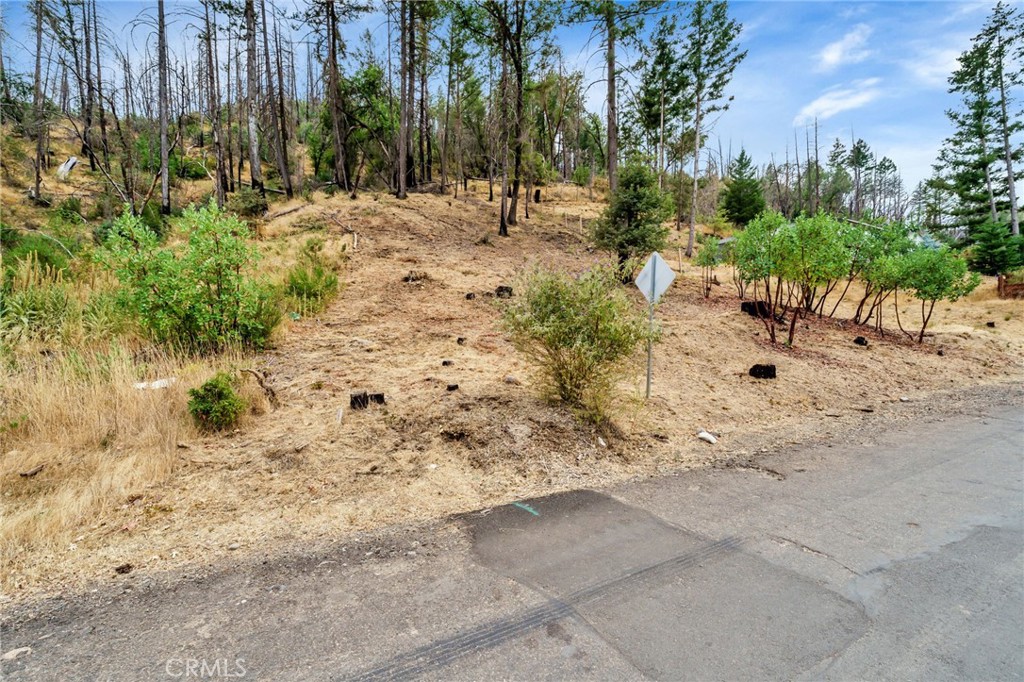 11541 Anderson Springs Road