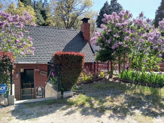23683 Manzanita