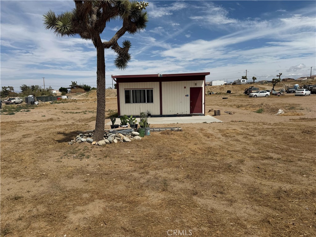 11551 Cactus