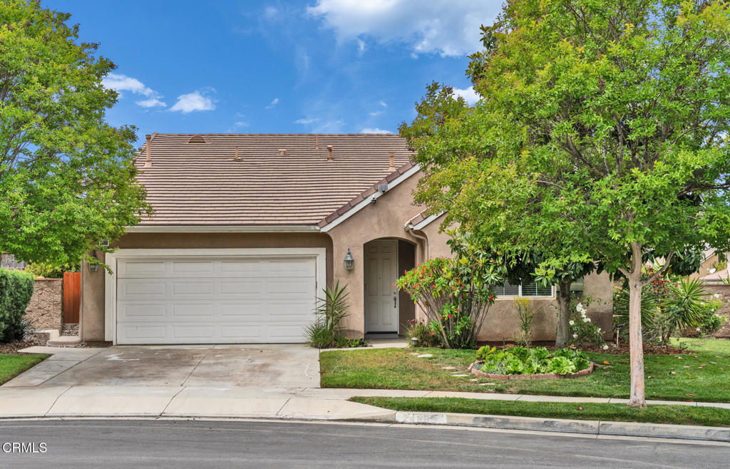 24889 Ashtree Court