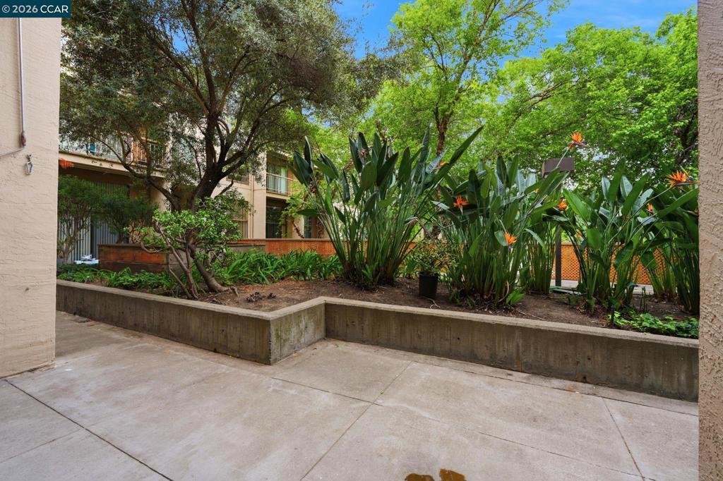460 N Civic Dr 302