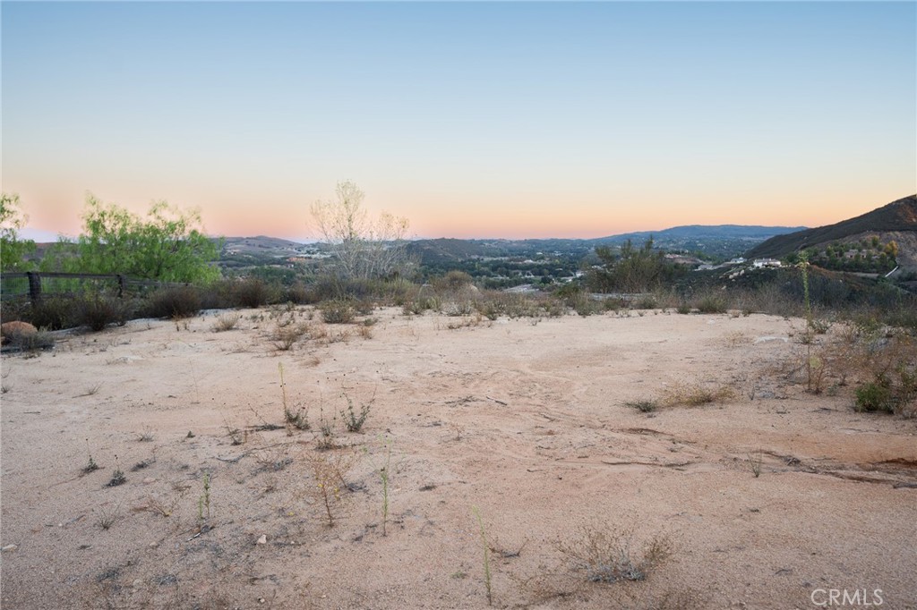 6 Vista Del Bosque