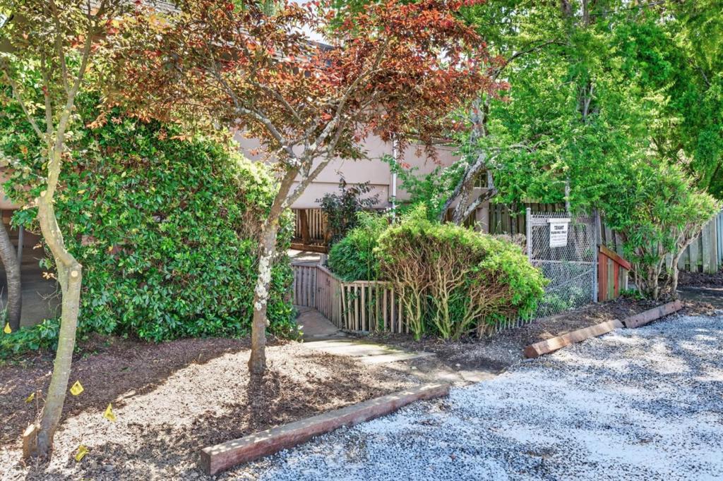 407 Maple Street