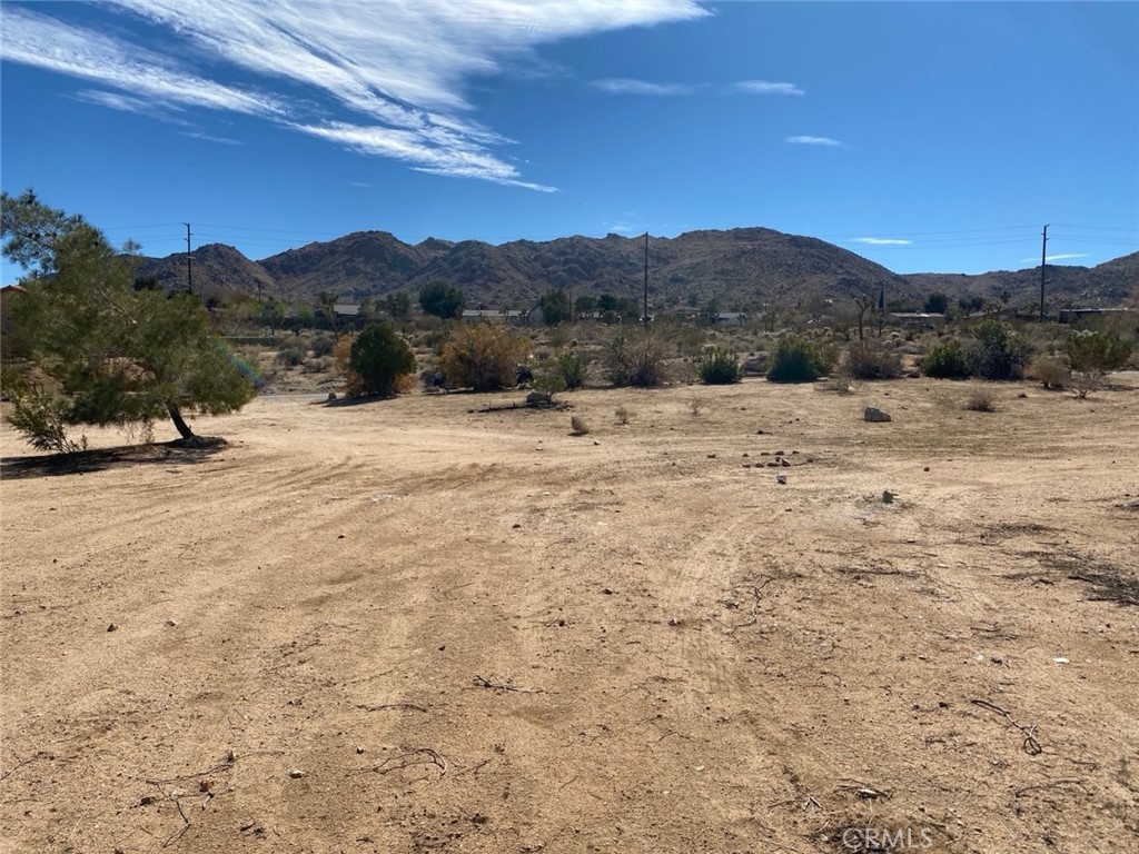 60450 Alta Mesa Drive