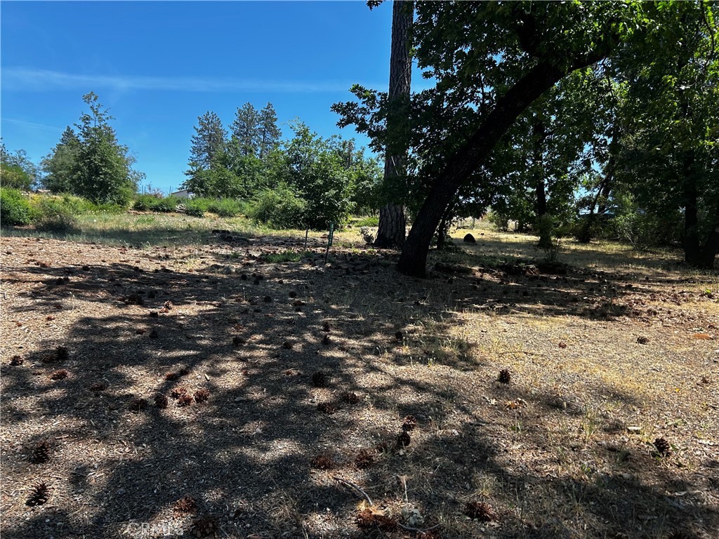 6272 Berkshire