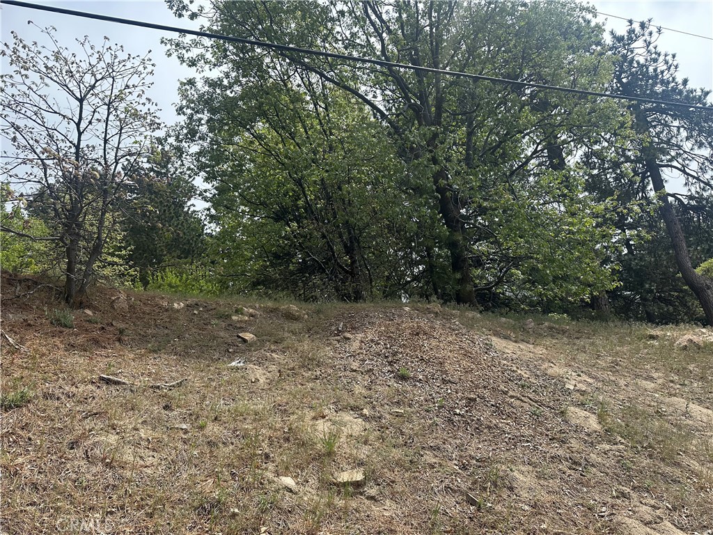 0 Deer Lick Lane