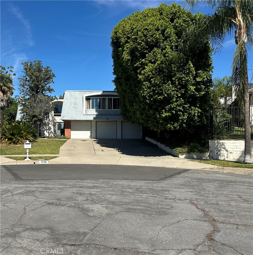 1709 Calavera