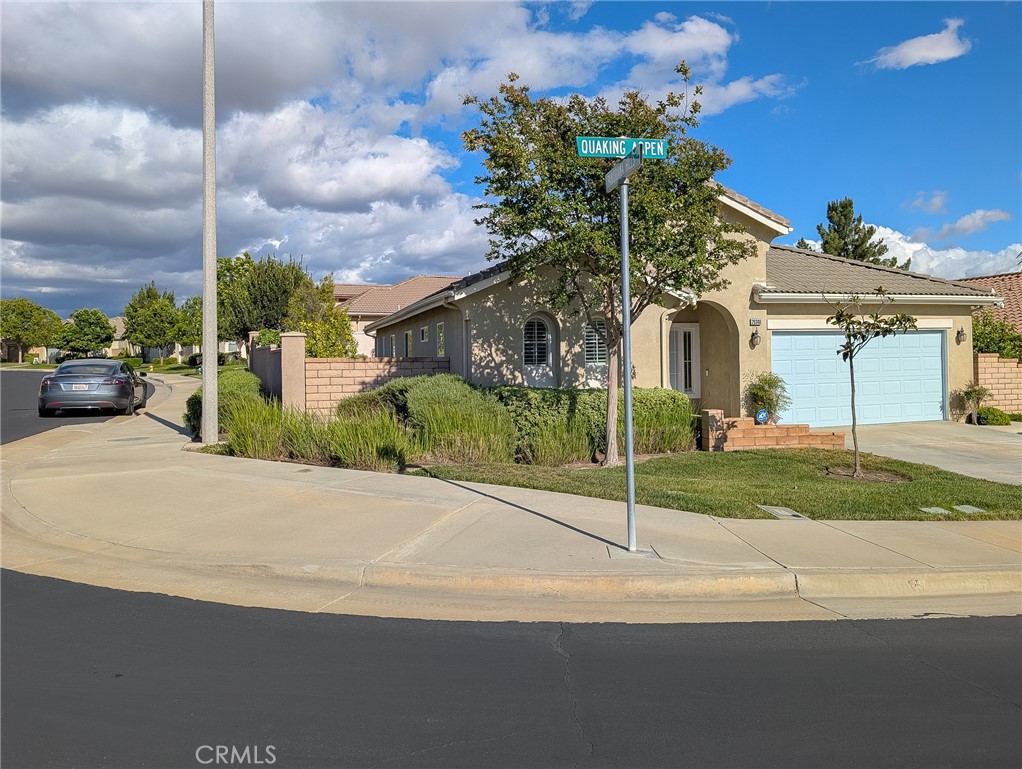 29348 Quaking Aspen