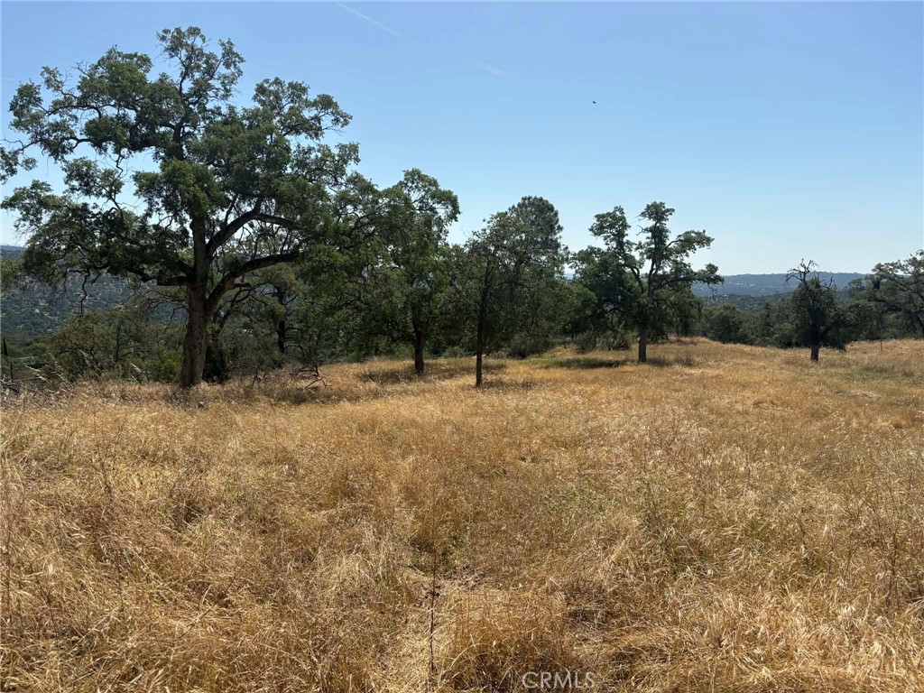 0 Lilley Mountain