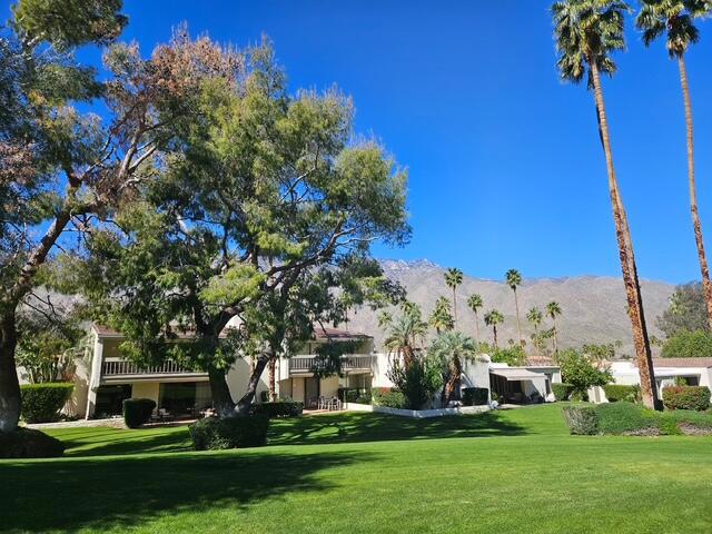 3447 Andreas Hills Drive