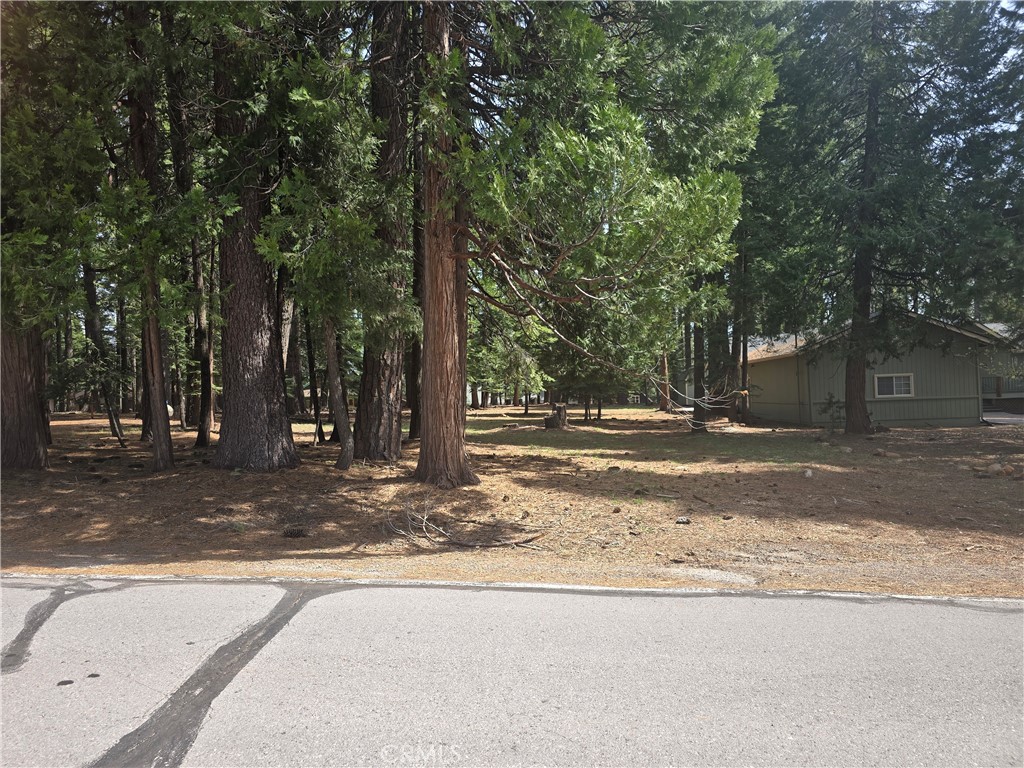 716 Conifer