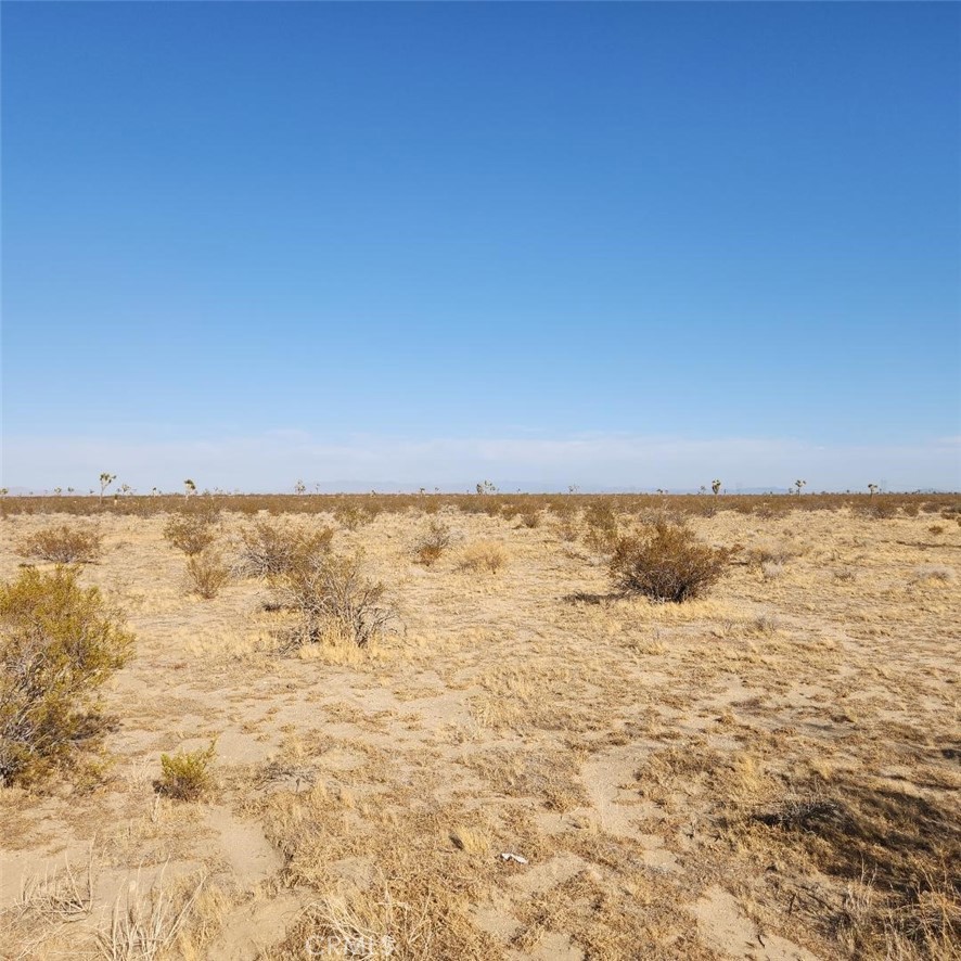 123 Wilson Ranch Road