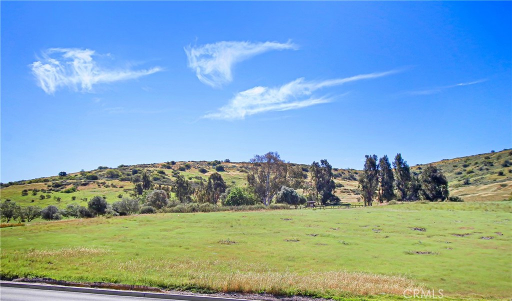 13039 Alpine Drive 397