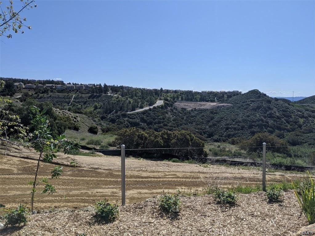 30 COYA Trail