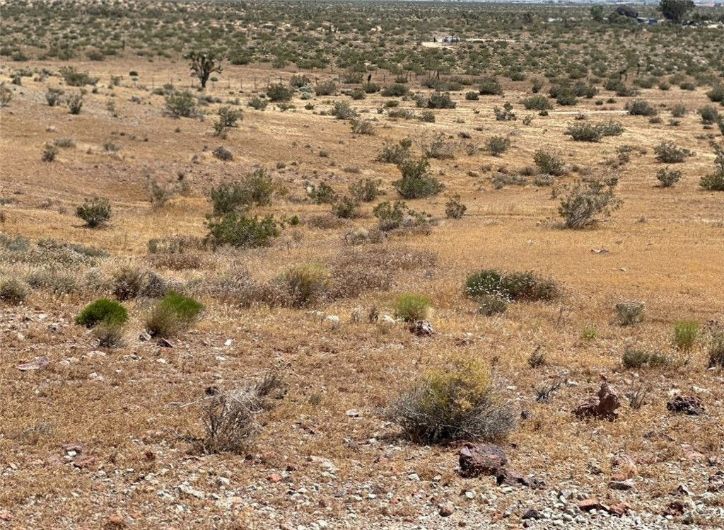 34529318 Mojave