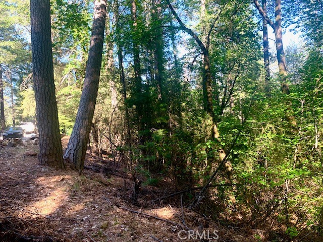 17325 Fernbrook