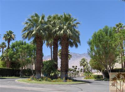 32505 Candlewood Drive 27